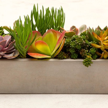 Concrete Planter - 24" Runner