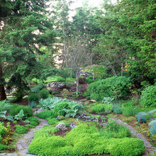 Landscape Ideas