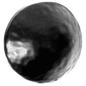 Round Clavos, 5/8"