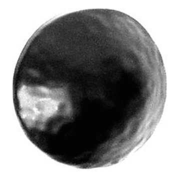 Round Clavos, 5/8"