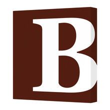 Ruth Bonini's Ideas