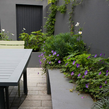 Modern family garden with clean lines