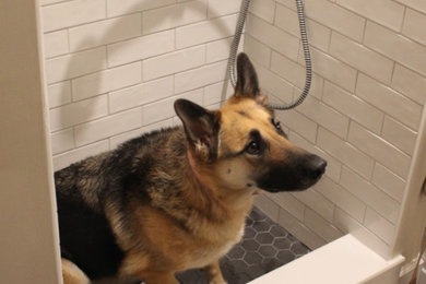 Custom dog shower