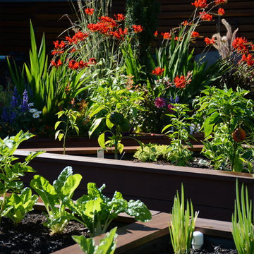 Raised Vegetable / Ornamental Garden 2015