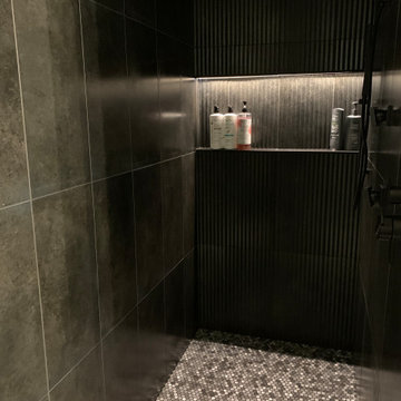 Guest Bathroom With Dark Raku Tile Shower and Lighted Shelf