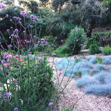 Sonoma County Garden