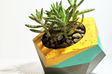 Concrete Planters