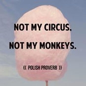 Mae Vogel's photo