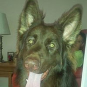 Catherine Ditchfield's photo