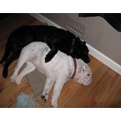 John Helmeyer's photo