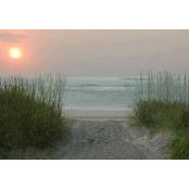 Karen Long's photo