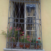 Dollie McCarrell's photo