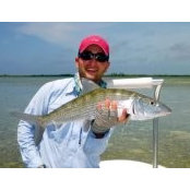David Landman's photo