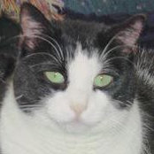 Lynn Anderson Votava's photo