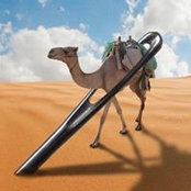 El Nii Quaye's photo