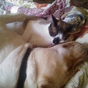 Lillian Walsh Coady's photo