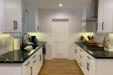 Example of a minimalist kitchen design in Los Angeles