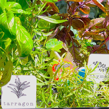 The Year of the Edible Gardens