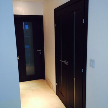 Modern Swing Door with Laminate Insert in Wenge Finish