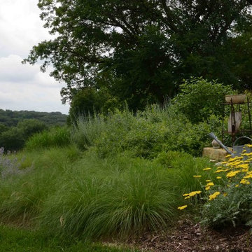 Native and Deer Resistant Landscape