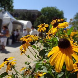 The Ann Arbor Relocation Guide - Products