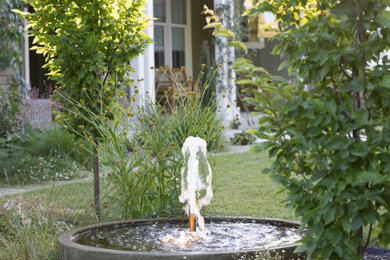 This is an example of a landscaping in San Francisco.