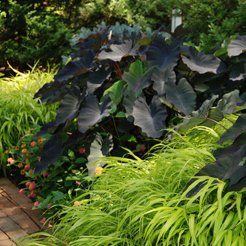 Summer Color with Perennials