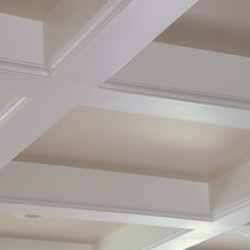 Transitional Oak Brook House