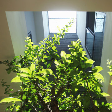 Oliu House