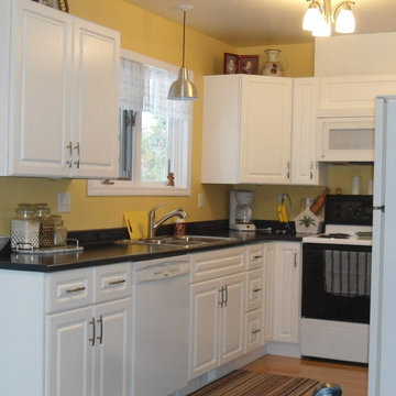 White Ash Raised Panel Doors - Refacing