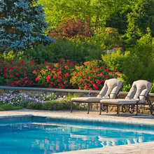 Landscape Ideas