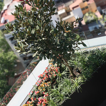 PH Polanco