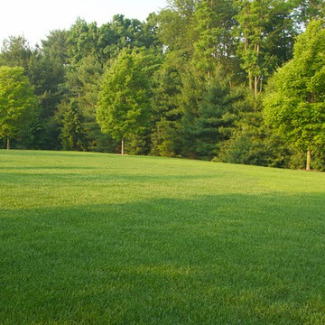 Featherbed Estate
