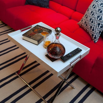 Contemporary Basement Lounge