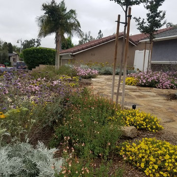 Mission Viejo Front Yard
