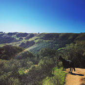 Christina Vilendrer's photo