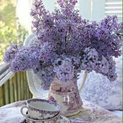 Meg Anderson's photo