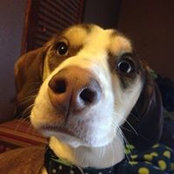 Robyn Craig's photo