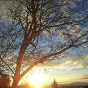Haley Lyman's photo