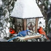 Linda Dinkle's photo