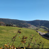 Foto di Fa