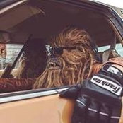 Robert Radke's photo