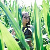 Laura Drapacs billede