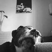 Nicole Kerr's photo