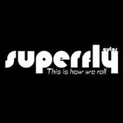 Photo de SuperFly Carmen