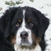 Rene Fitch's photo