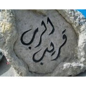 Bassem Kamel's photo