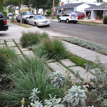 Mesa frontyard