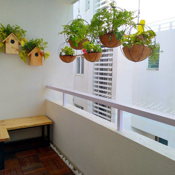 Anagha's Home Gardens