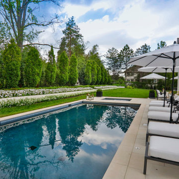 Burr Ridge Swimming Pool and Hot Tub Project